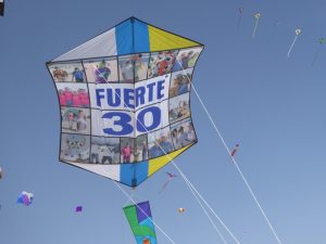 Read more about the article Fuerte 2017