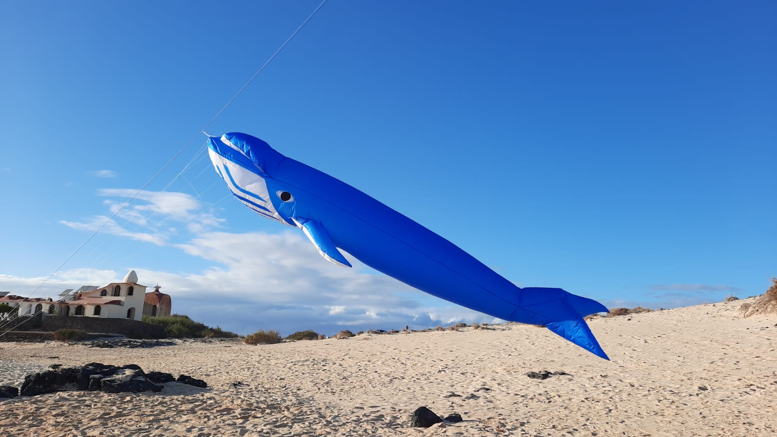 Du betrachtest gerade DF Fuerteventura im Jahr von Corona